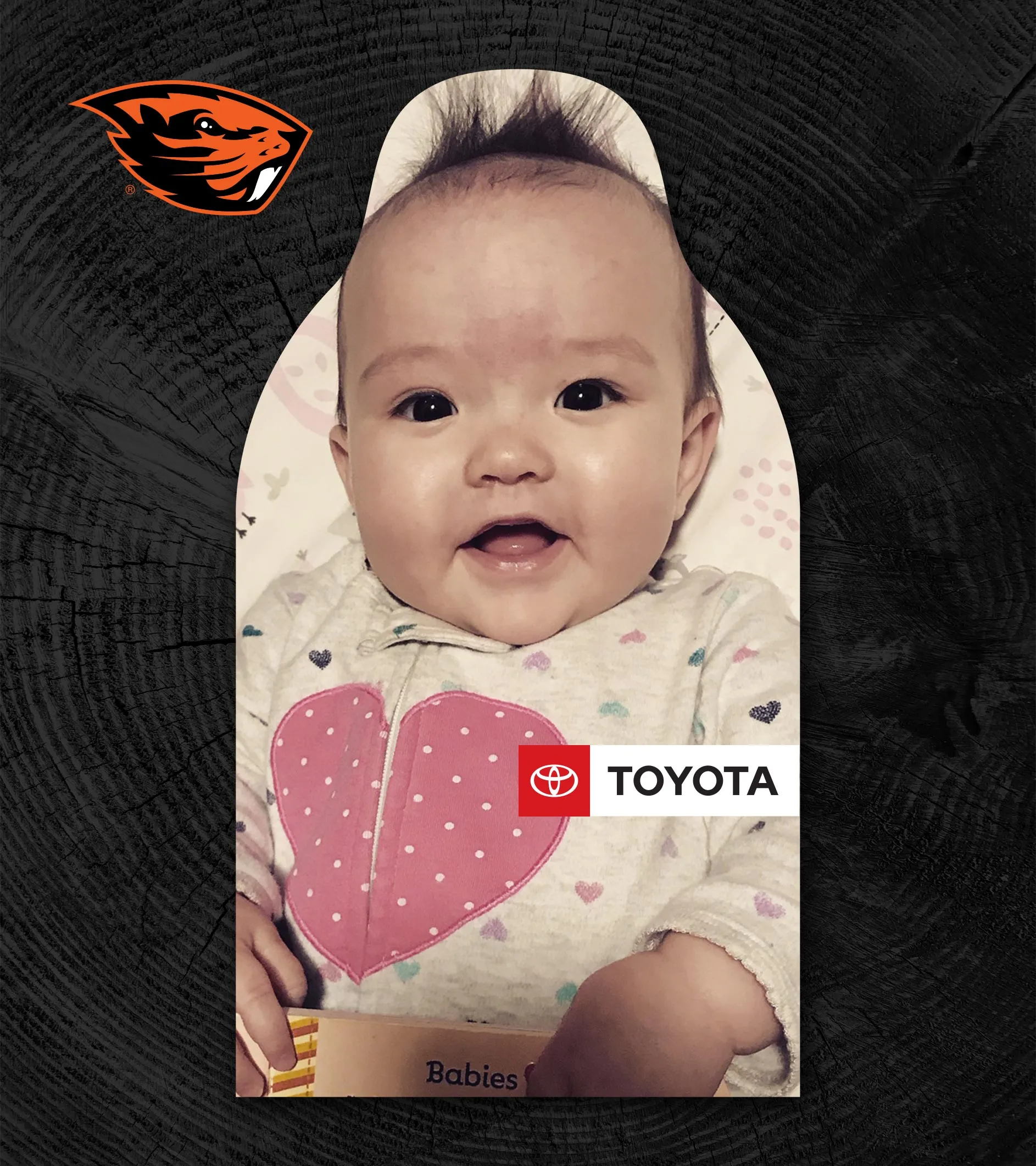 Beavers Gill Coliseum Fan Cutouts